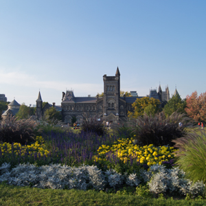 University of Toronto - St. George campus